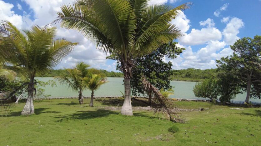 Dream Property in Progresso, Corozal For Sales