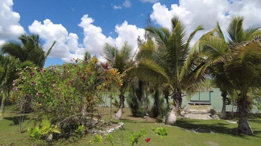 Dream Property in Progresso, Corozal For Sales