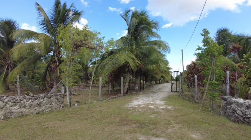 Dream Property in Progresso, Corozal For Sale