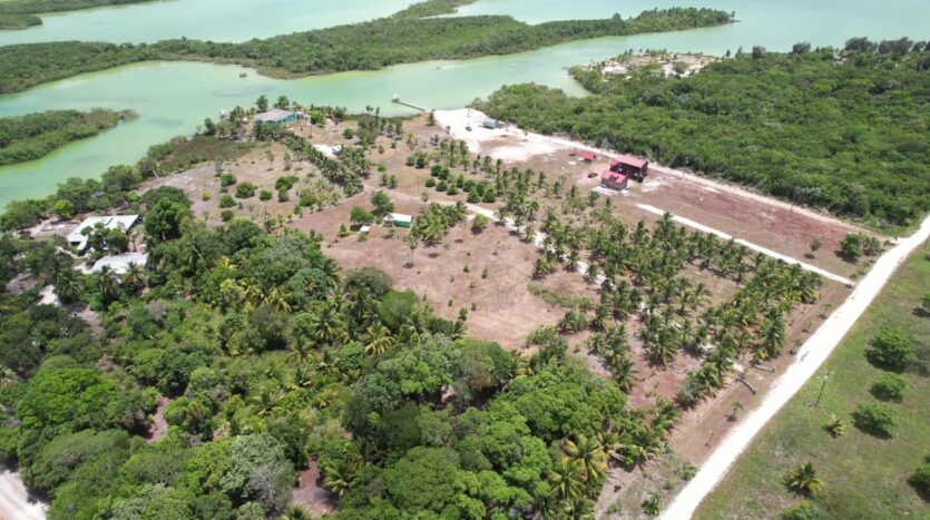 Dream Property in Progresso, Corozal For Sale