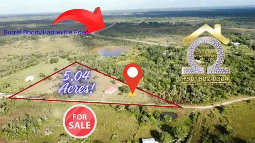 Newly built house on 5.04 acres for sale, Burrell Boom, Belize