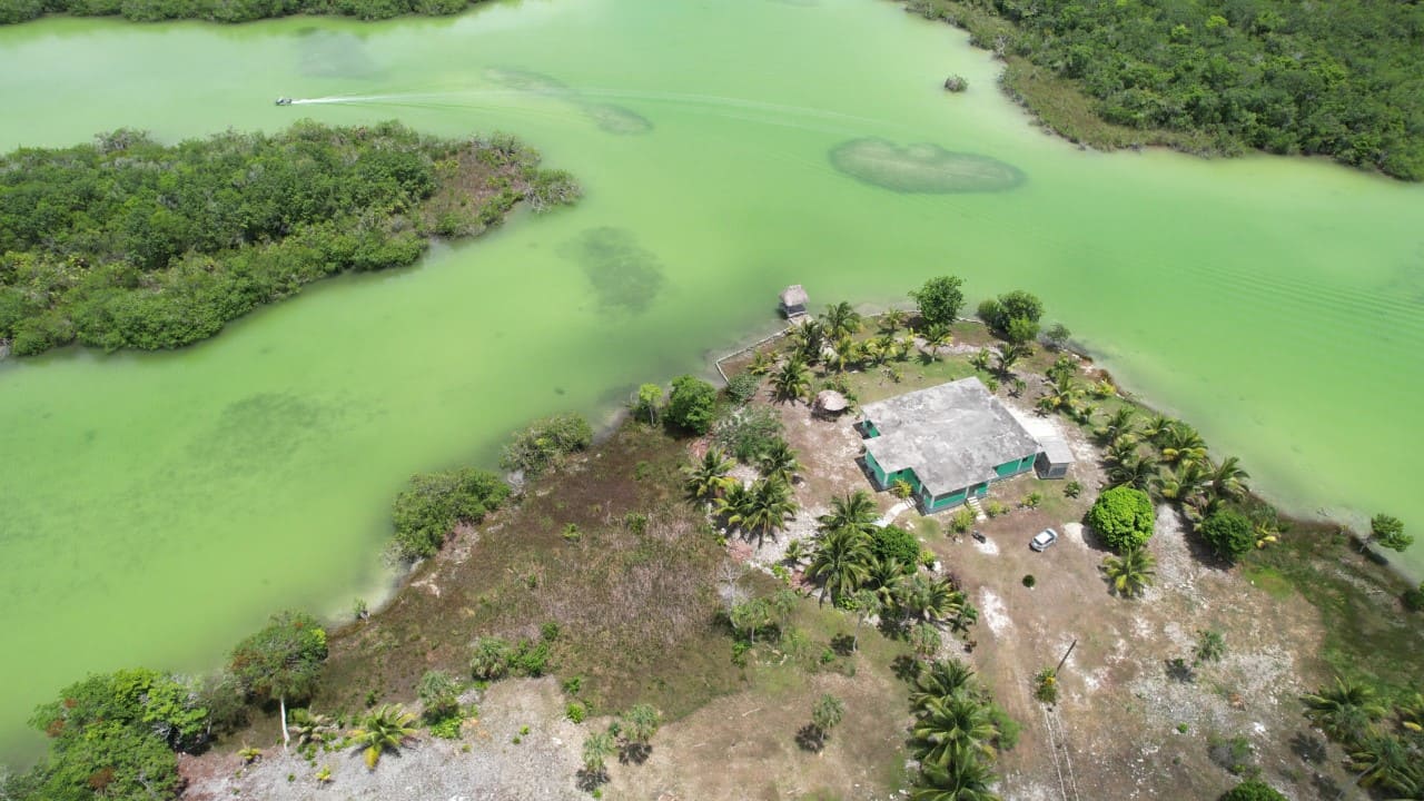 Dream Property in Progresso, Corozal For Sale